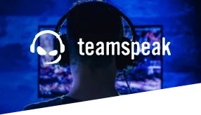 Voiceserver Teamspeak